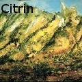Ione Citrin -  - Oil Painting