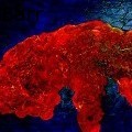 Ted Barr - Brain, Embryo  - Paintings