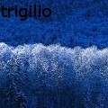 Susann Trigilio -  - 